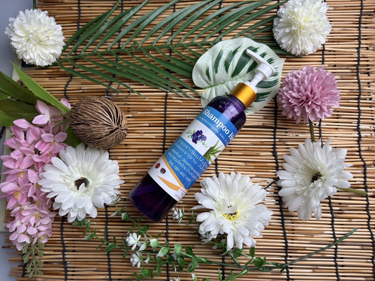แชมพูดอกอัญชัน & ว่านหางจระเข้ เร่งผมยาว บำรุงรากผม
